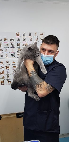 Cabinet Veterinar Dr. Gabriel Geogia